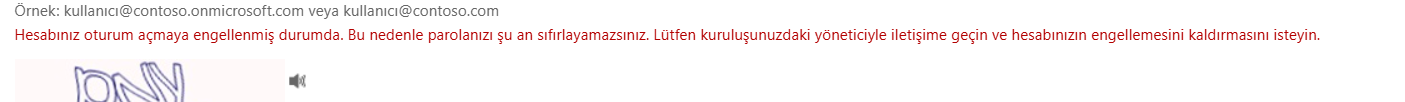 Ekran görüntüsü 2025-07-25 121444