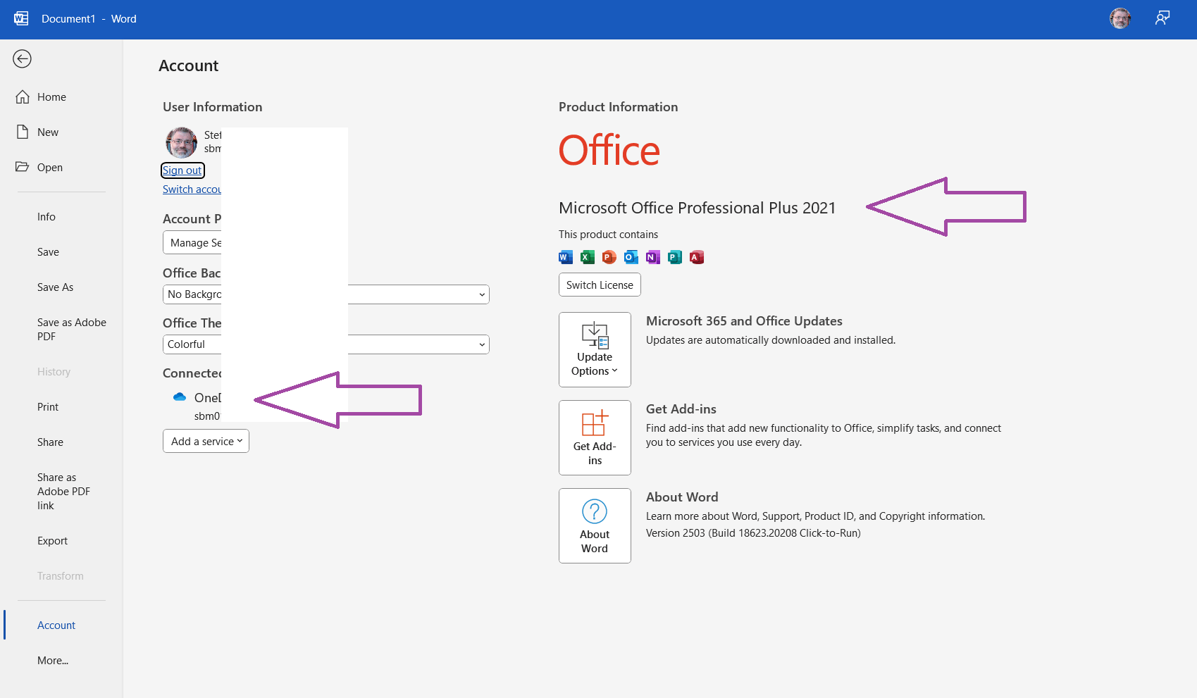 Word sign in show blank popup screen and no options to sign in (Word ...