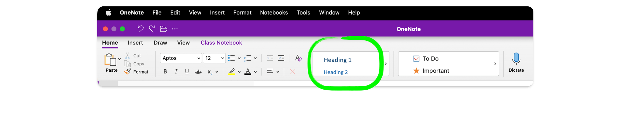 Create custome Style in Onenote - Macbook - Microsoft Q&A