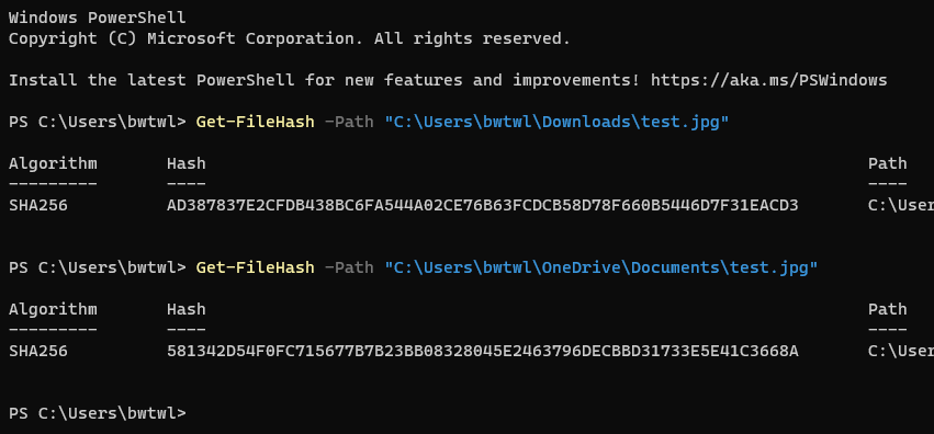 These two files are the same image downloaded from the same place, just ...