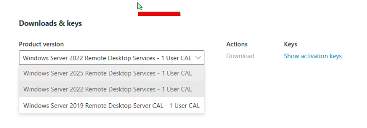 Cannot Install the RDS per user cal license bought from a CSP provider ...