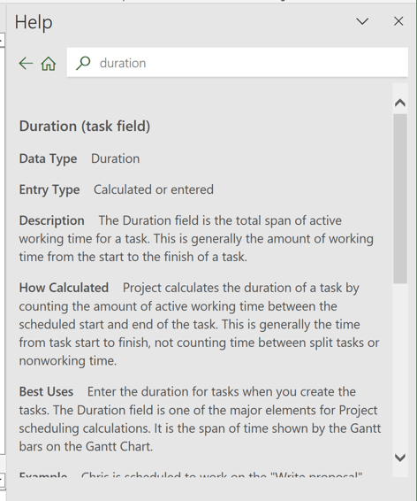 Is There a Data Dictionary Section in MS Project instructions and verification workflow