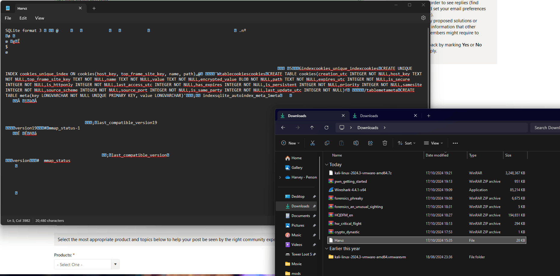 Application/.exe files 