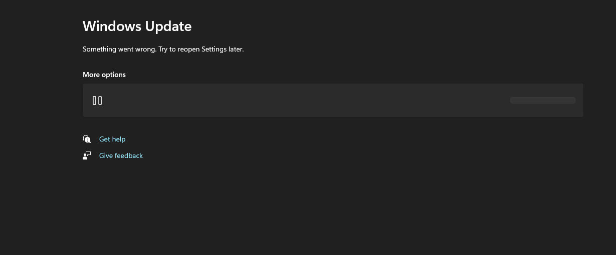 I cannot use Microsoft Store because Update service is not running ...