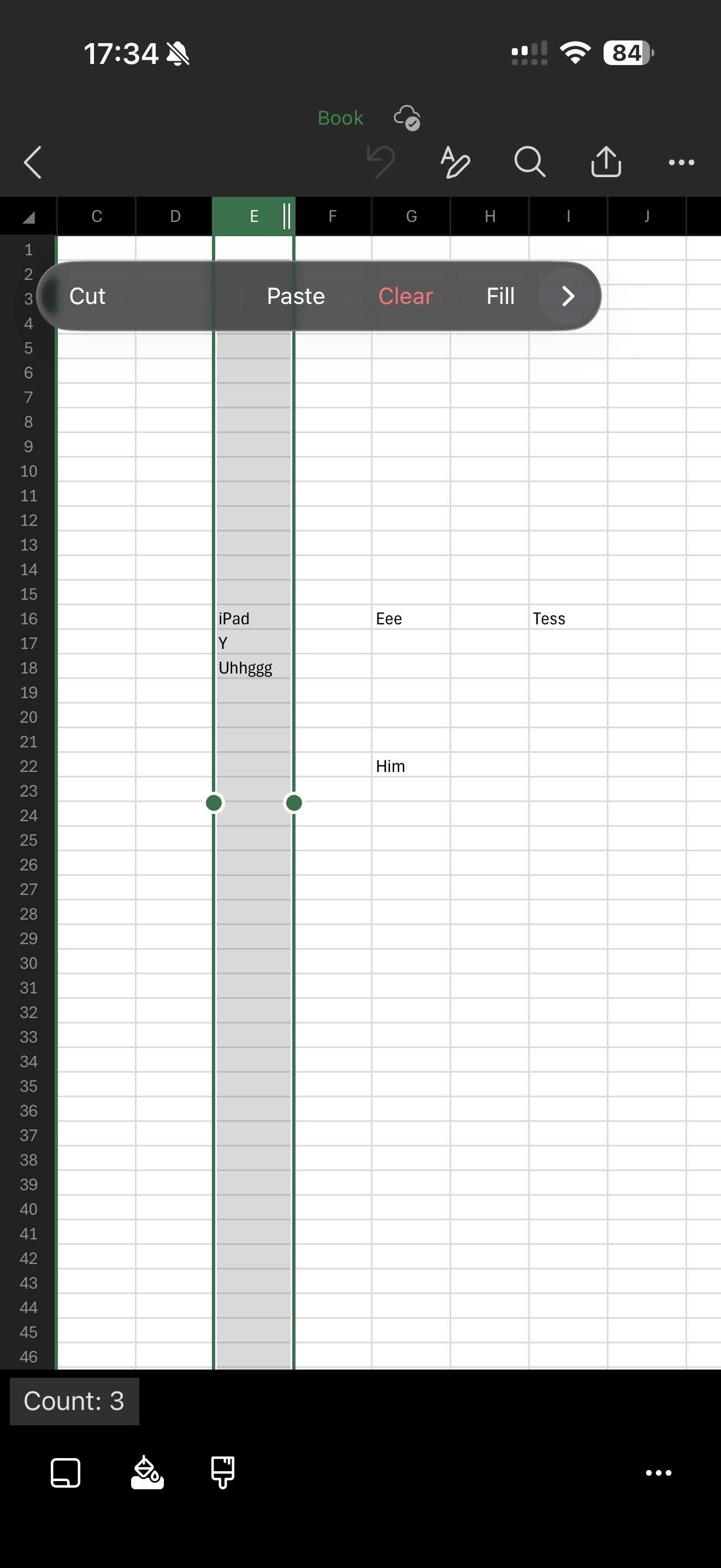 Excel copy button is invisible on iOS26 and iPadOS26 - Microsoft Q&A