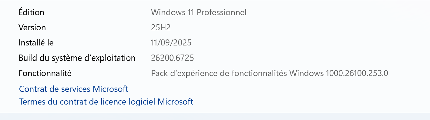 W11 25H2 Canal release preview 26200.6725