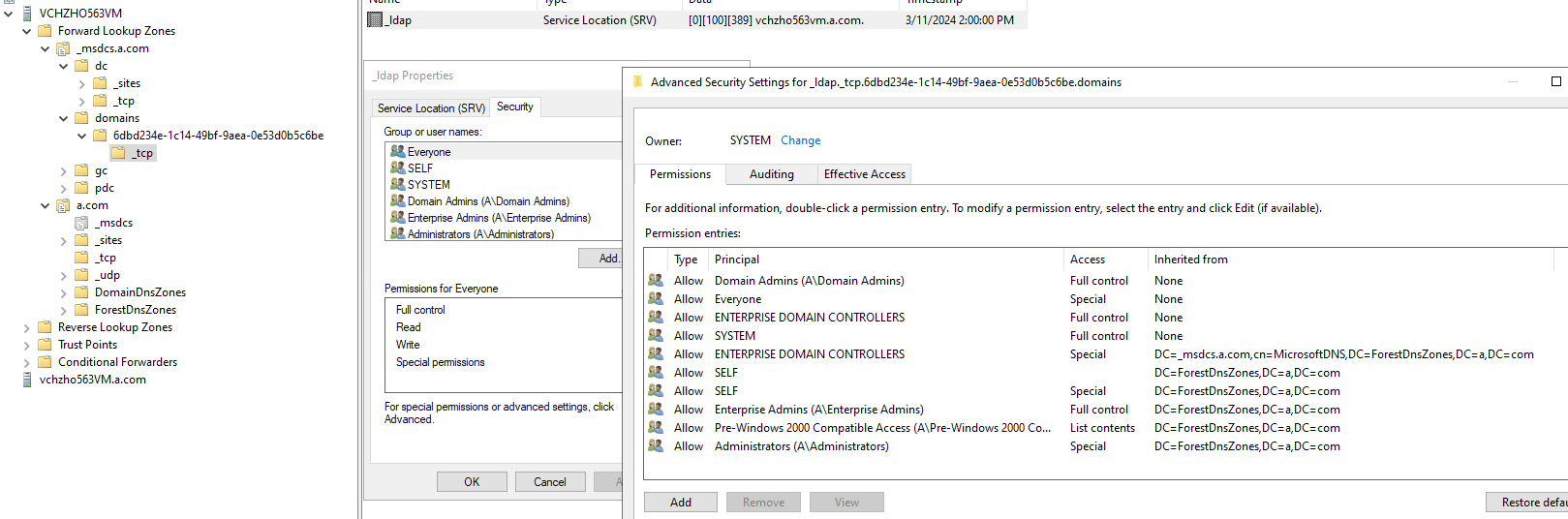 Active Directory DNS _ldap SRV record owner is an Unknown account ...