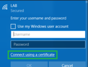 User's image