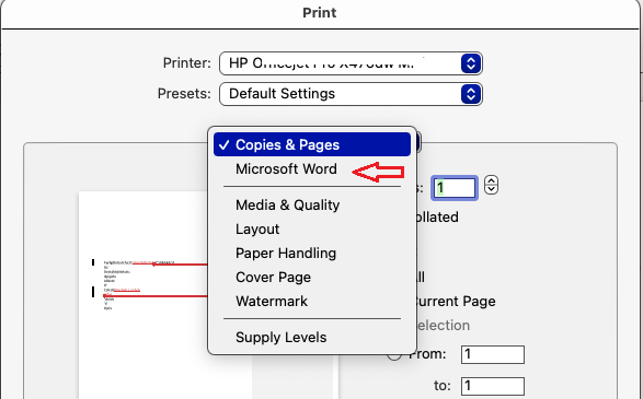 Only the document markups and comments Print - Microsoft Q&A
