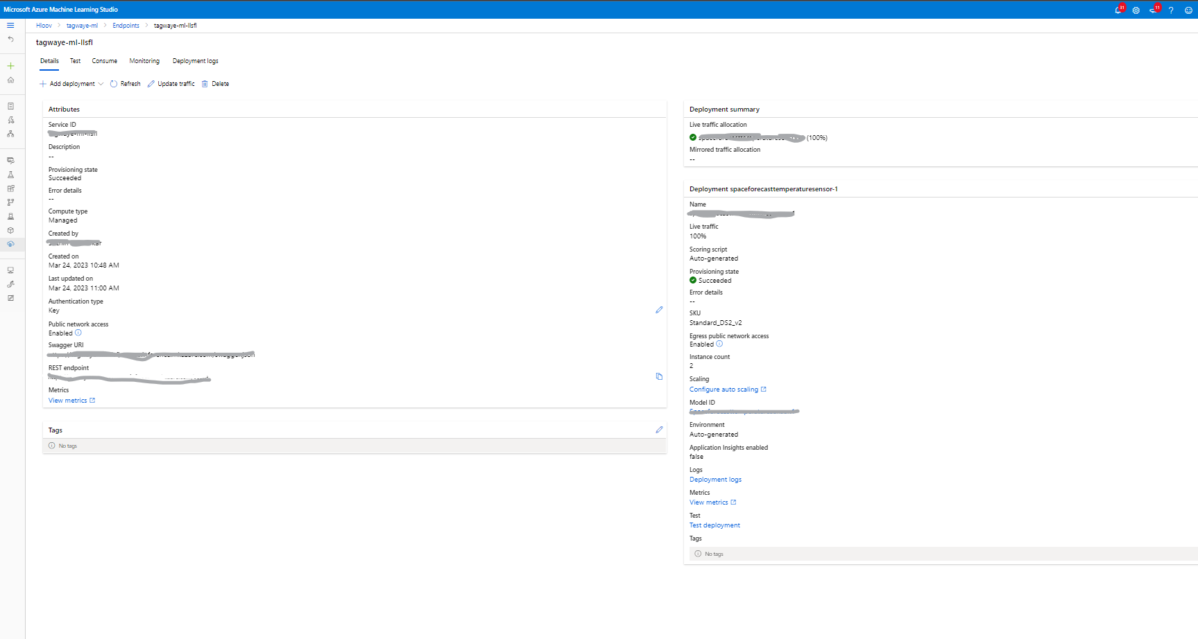 Screen Shot for the Model-endpoint page