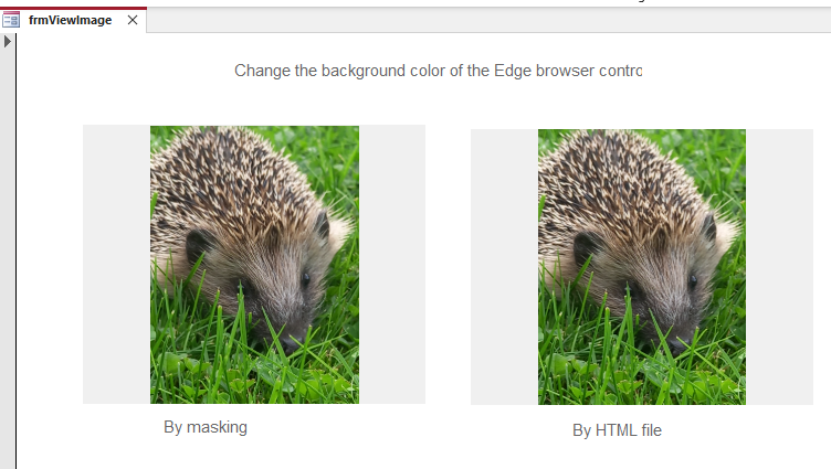TestNvEdge