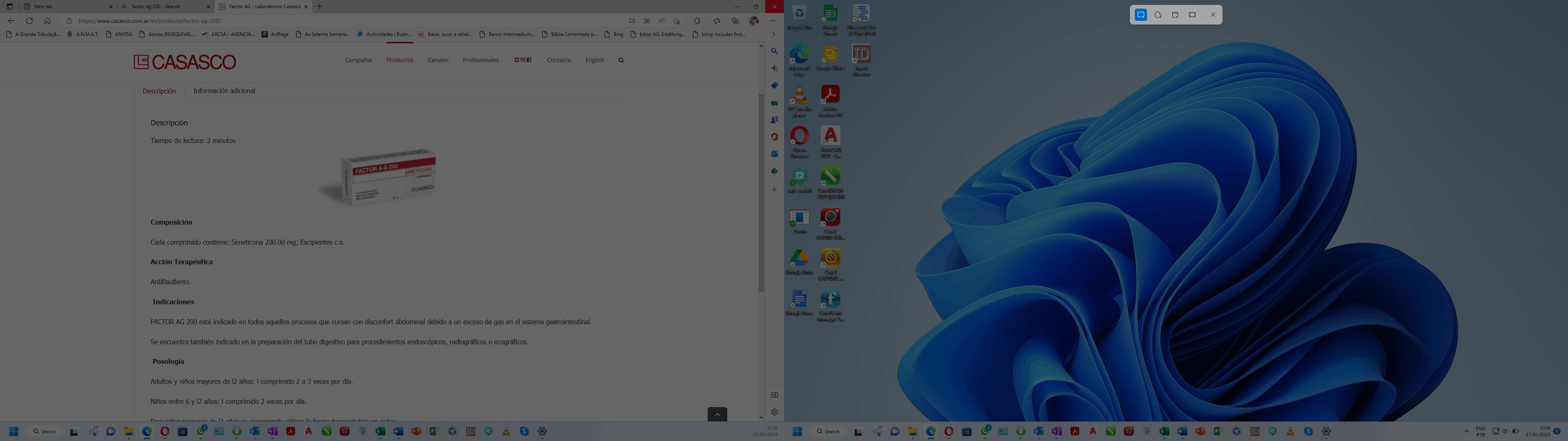 Snipping Tool Malfunction - Microsoft Q&A