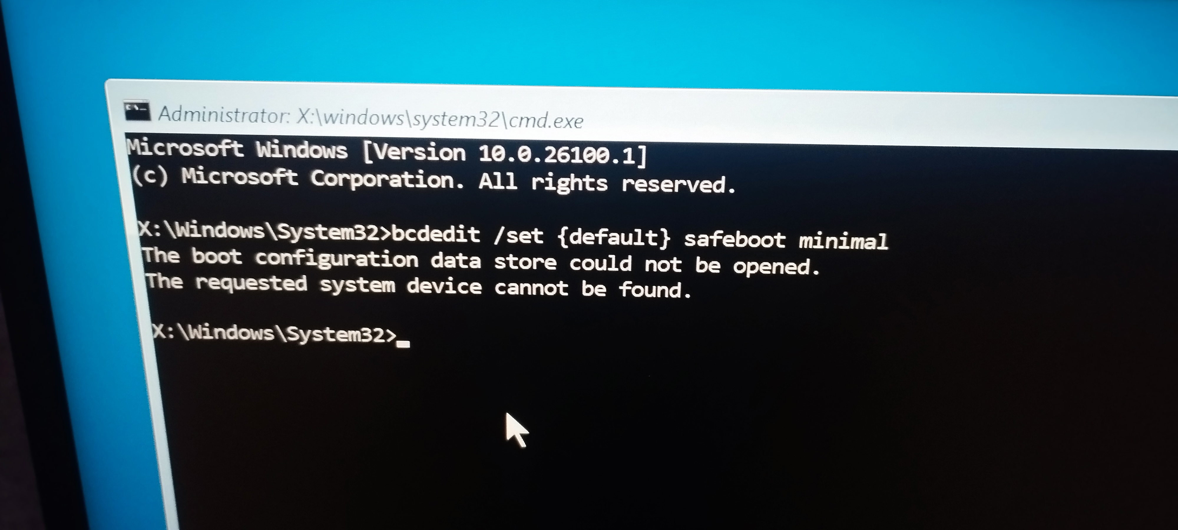 1000081806