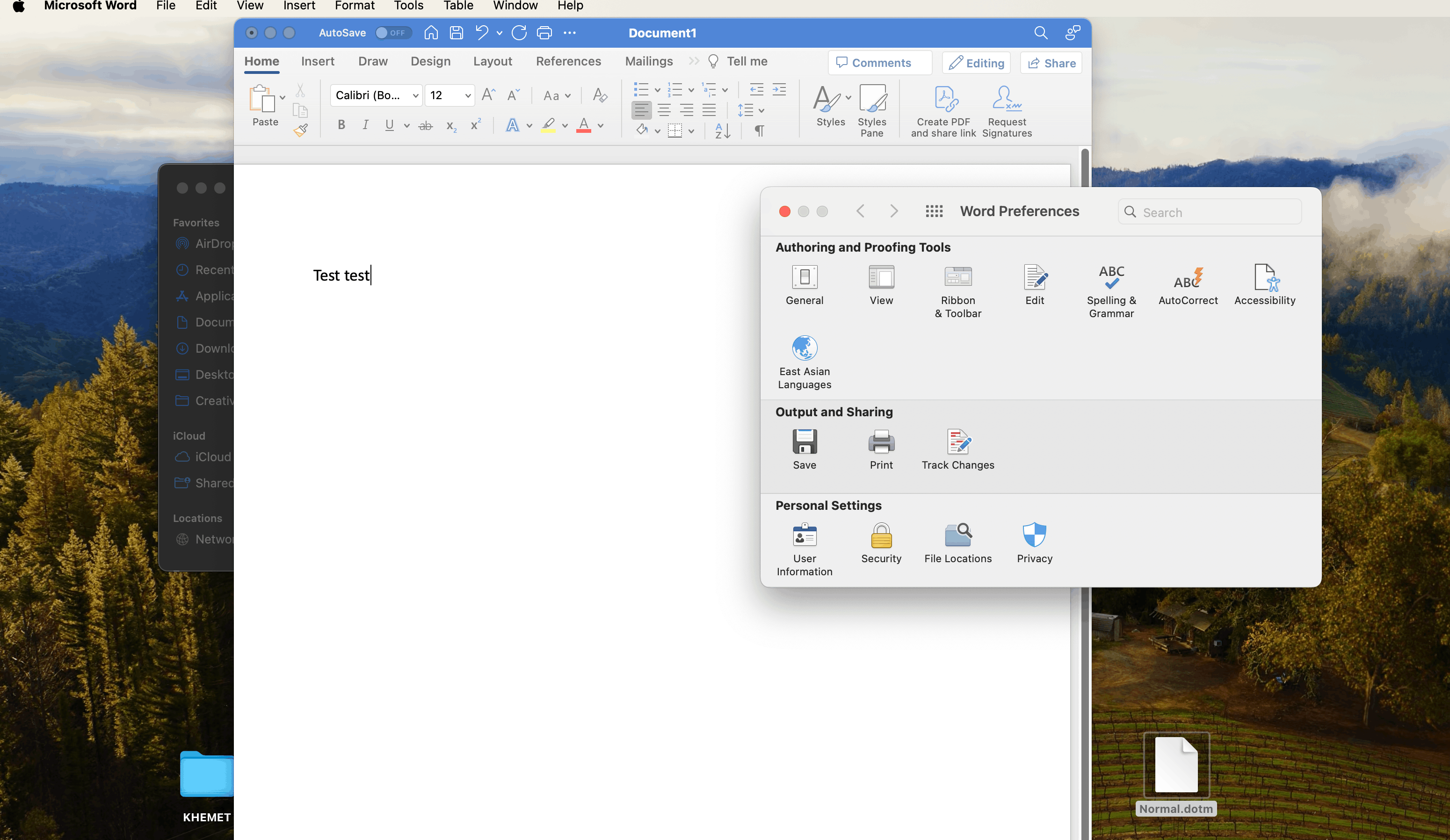 Word Font toolbar and Style, Review and View options gone missing from ...