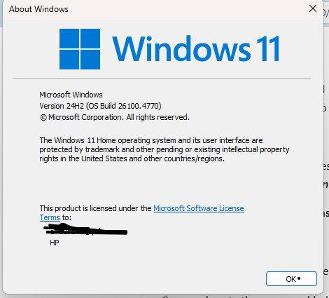 MS Screenshot 2025-08-11