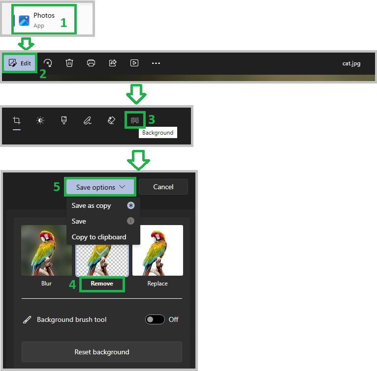 User's image