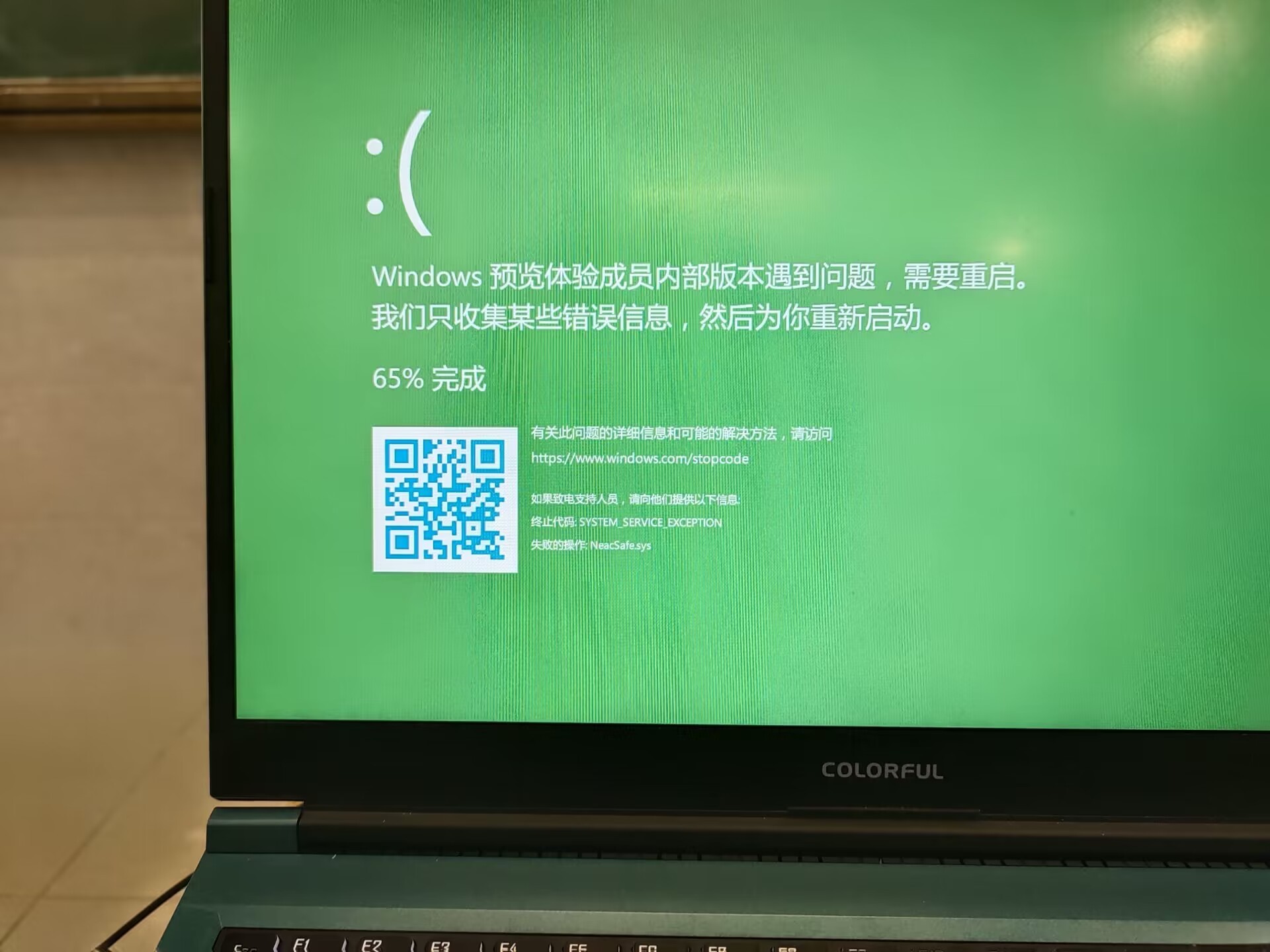 版本是Windows Feature Experience Pack 1000.25336.1000.0 cpu：i9-12900H gpu ...