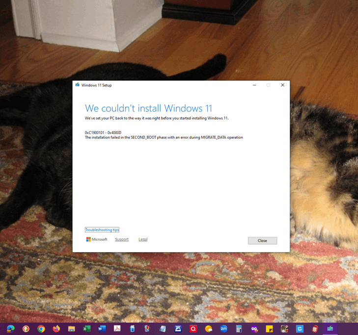Windows 11 did not install - Microsoft Q&A