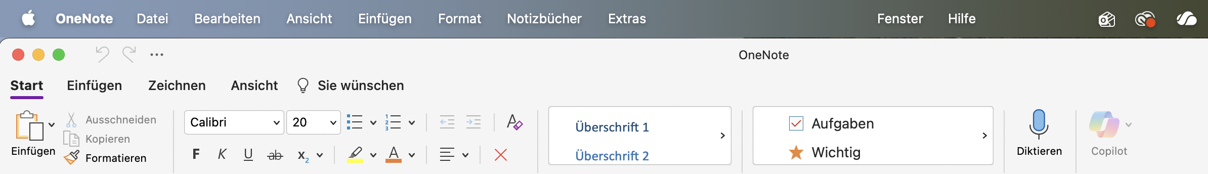 Bild des Benutzers