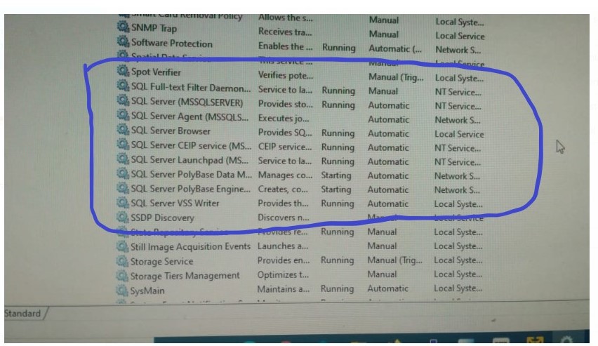 42956-various-running-sql-services-status.jpg