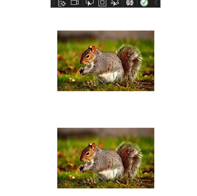 User's image