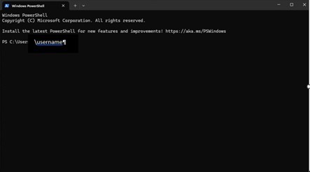 Powershell Windows 11 - Microsoft Q&A