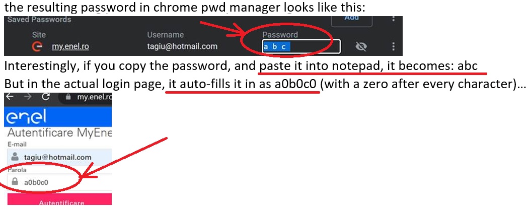 ChromePasswordIssue