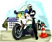 MOTARD COLOR crs30%