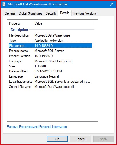 Microsoft.DataWarehouse Assembly 2024-06-20 162939