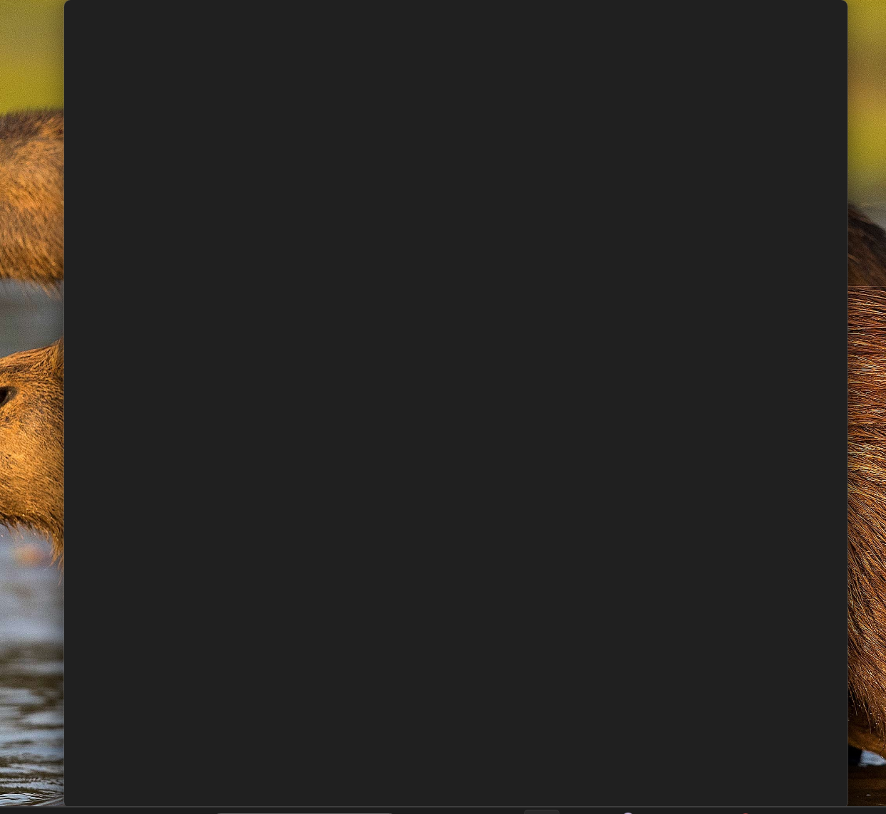 Edge Black Screen