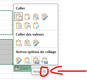 Image de l’utilisateur