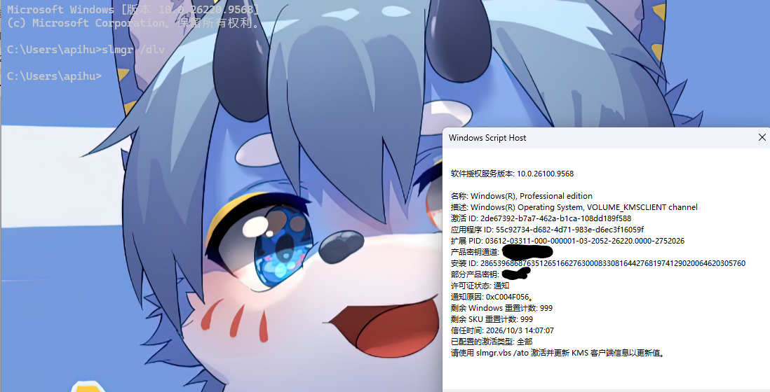 用户的图像