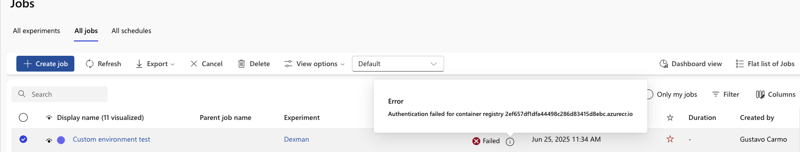 2 - Azure ML Job Failure
