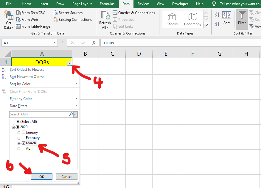 Unable to sort date of birth using advanced filter in excel ...
