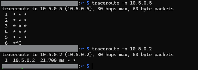 screenshot traceroute linux host1