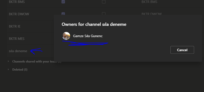 It won't let me see my private channel on Microsoft Teams - Microsoft Q&A