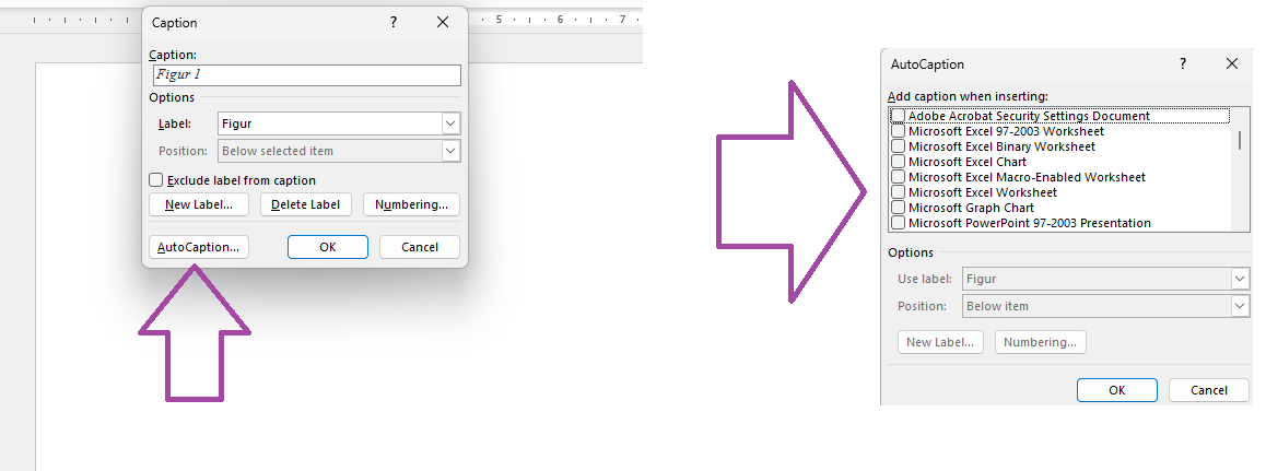 Can WORD autocaption be used with picture files of the *.png format ...