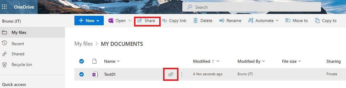 OneNote sharing outside organisation - Microsoft Q&A
