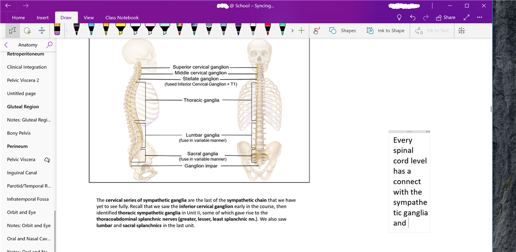 OneNote has altered color at top bar - Microsoft Q&A