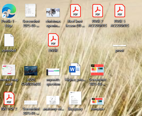 User's image