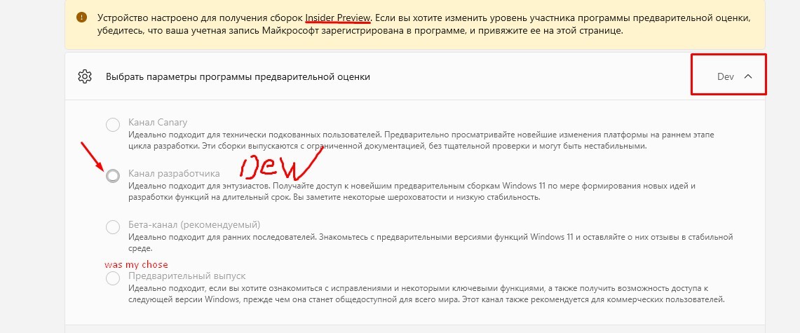 I was forcibly moved from the Beta channel to the DEV channel. How can ...