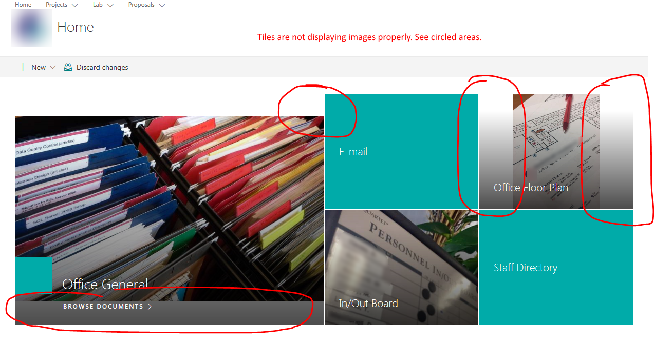 Images are distorted - Microsoft Q&A