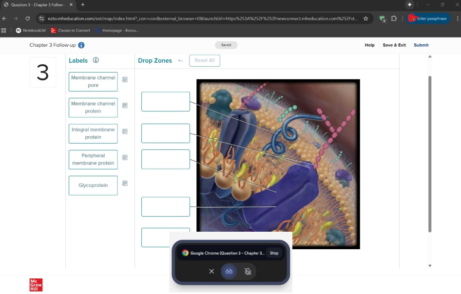 Screenshot_14-11-2025_134441_dori-uw-1.kuma-moon.com