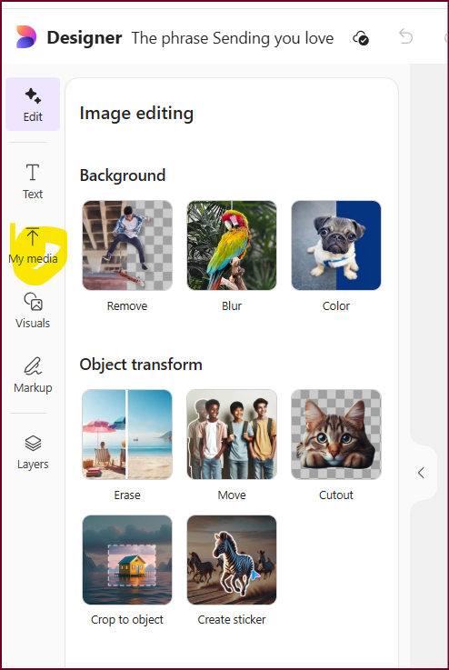 User's image