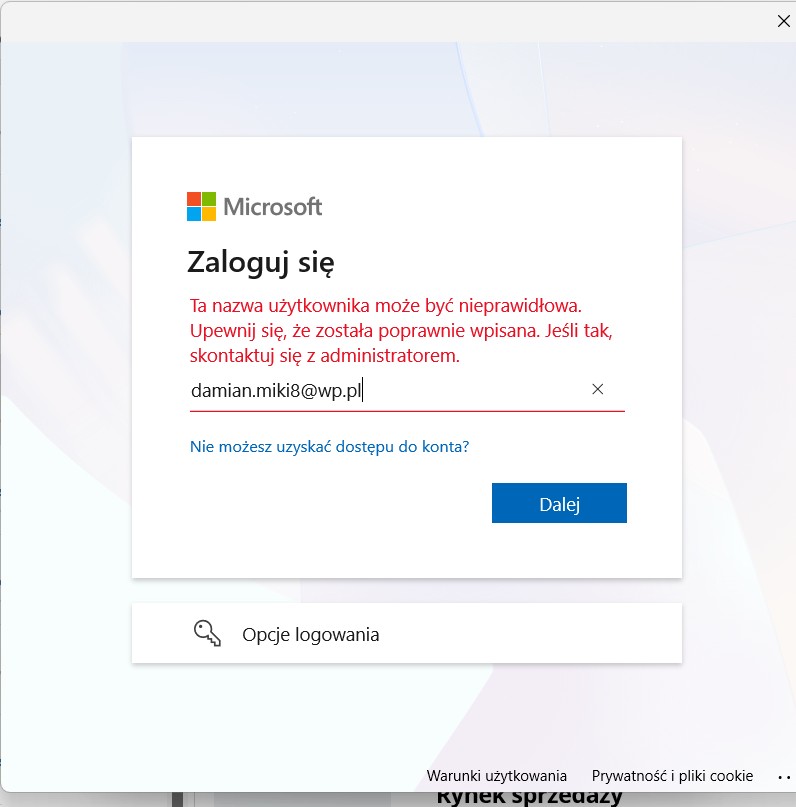 Zrzut ekranu 2025-11-22 174303