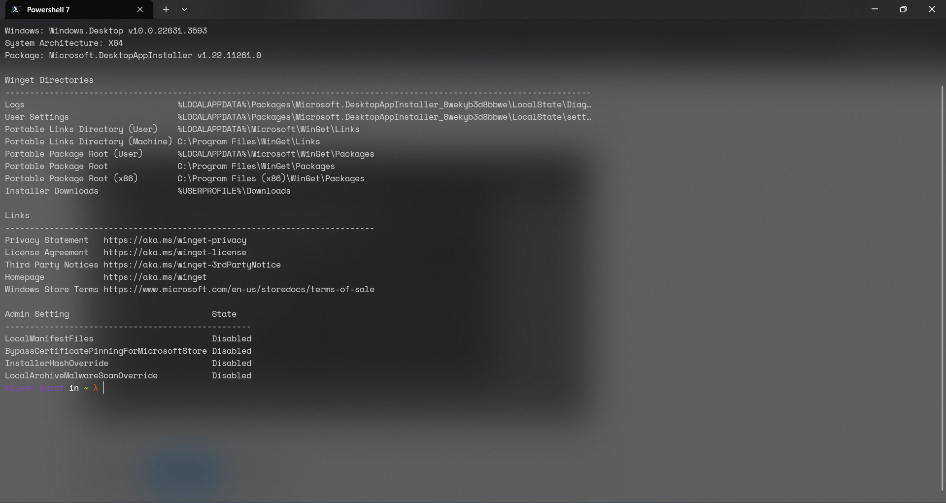 this error is comming up when i use powershell 7 as administrator ...