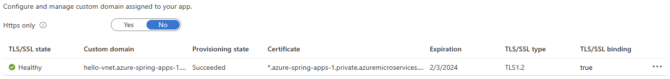 How to access azure spring app in a private vnet through IP instead of ...