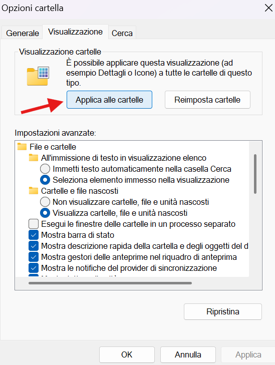 Immagine dell'utente