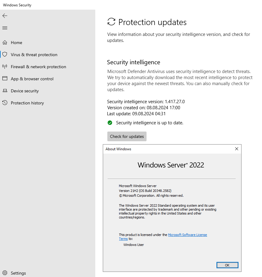 W_Server_2022_getting_security_intelligence_updates