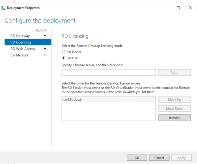 Windows Server 2019 setup as PDC, and Remote desktop server. Remote ...